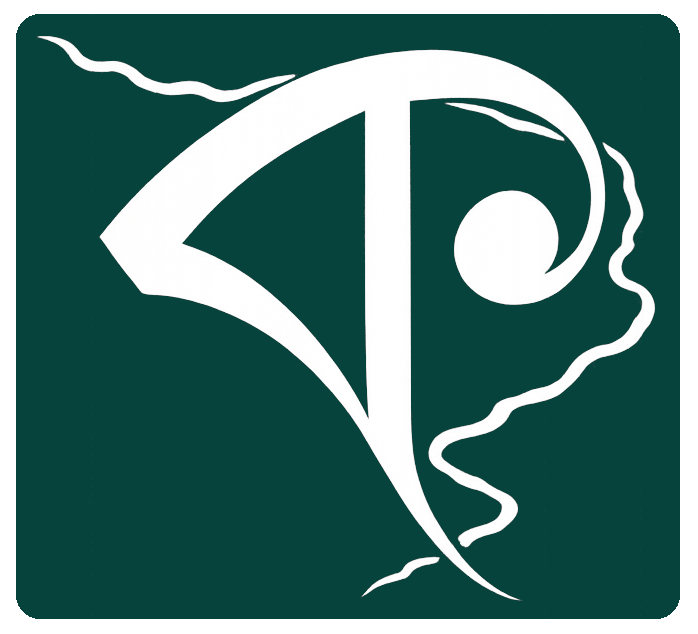 KOPILI STORIES Logo